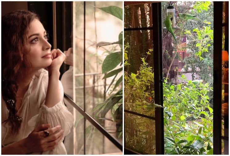 Dia Mirza Mumbai House is Totally a nature lovers paradise See INSIDE Pictures