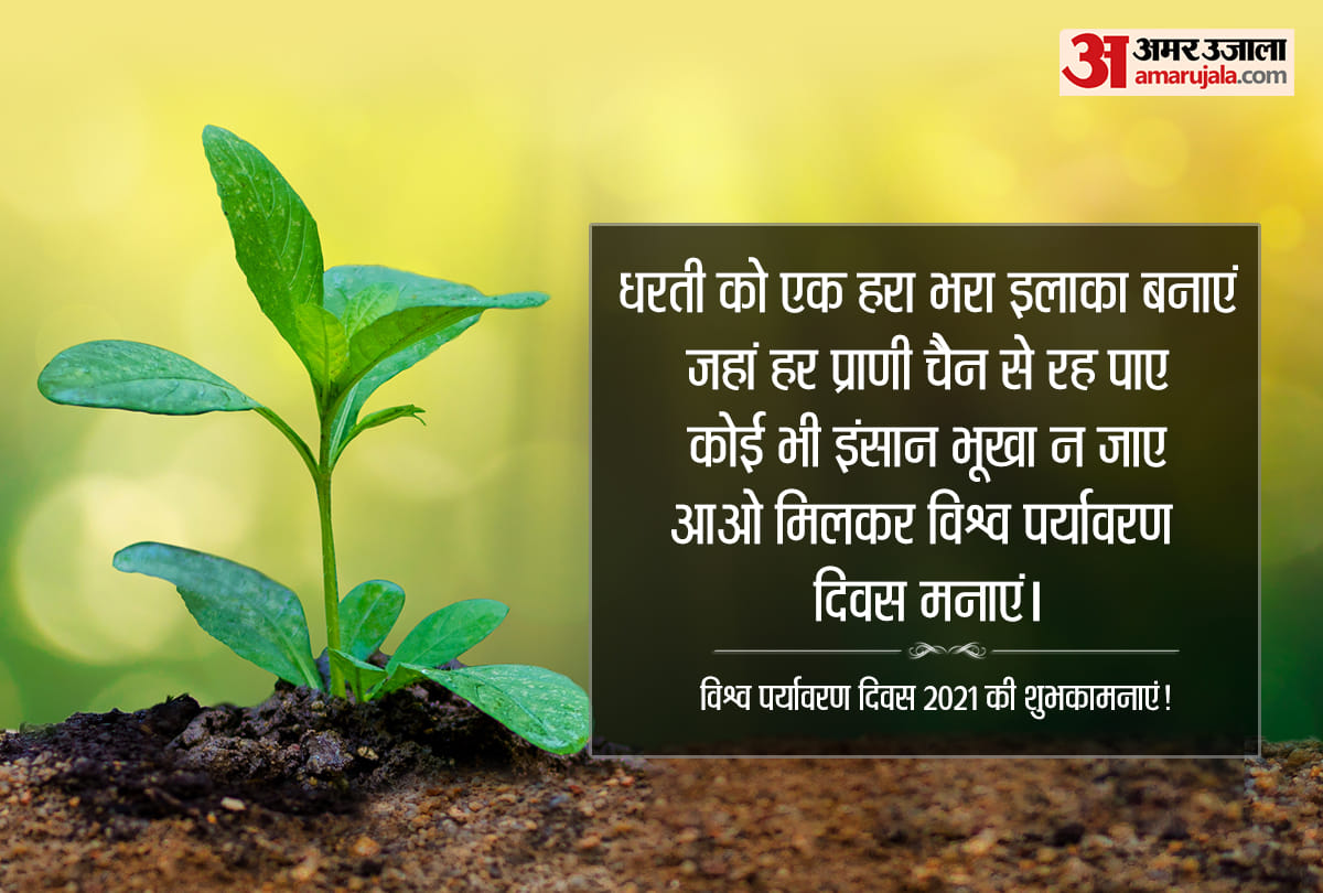 world environment day 2021 acoording to astrology which plants are lucky for your zodiac sign
