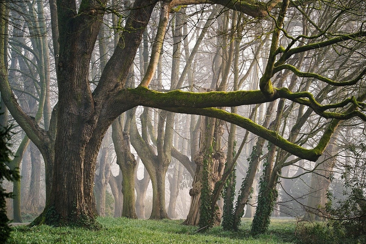Weekend Travel Tips Best Forest to Visit in Delhi at Weekend in Hindi