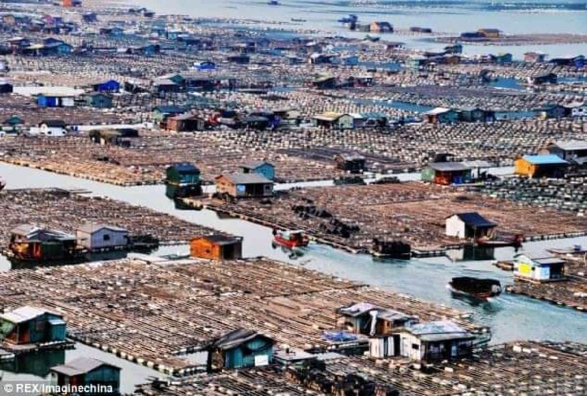 Interesting Story of china gypsies of sea village which is floating on sea water