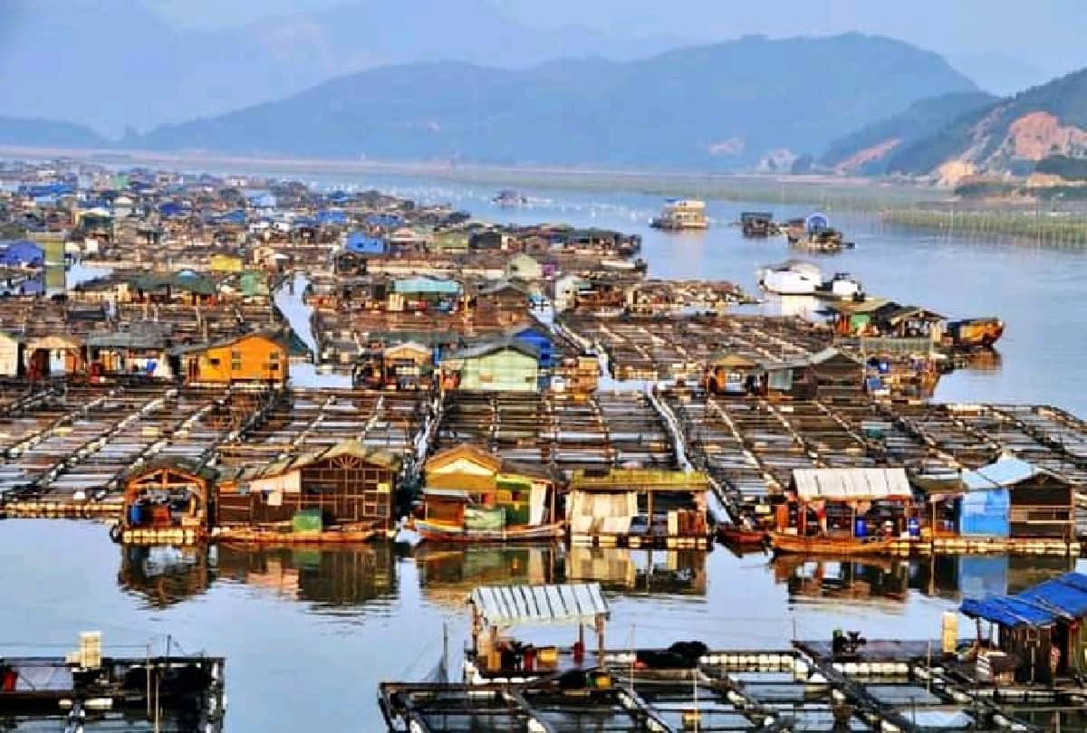 Interesting Story of china gypsies of sea village which is floating on sea water