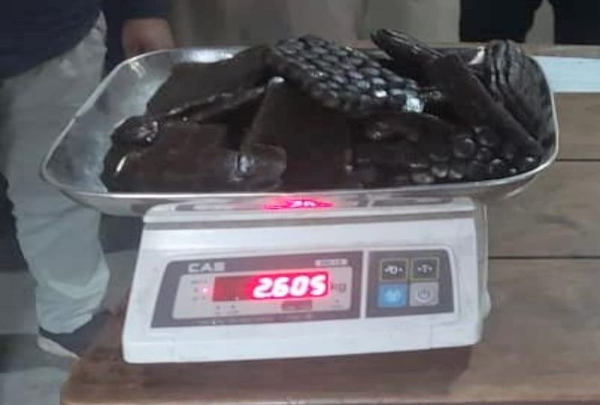 man arrested with more than two and a half kg of charas in Bajaura naka kullu himachal