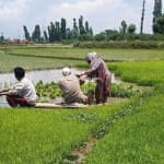 जम्मू-कश्मीर में टीकाकरण