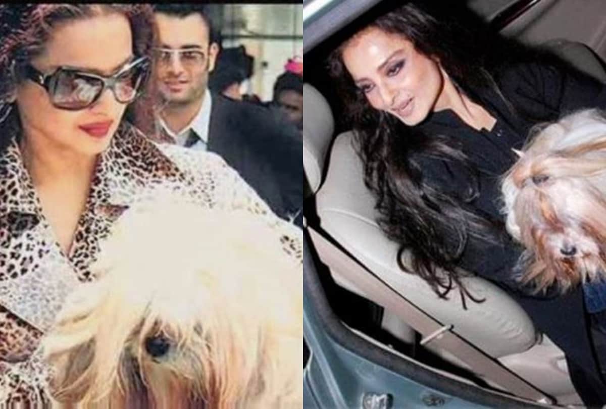 Rekha wanted to be mother of five children but now she loves her dogs