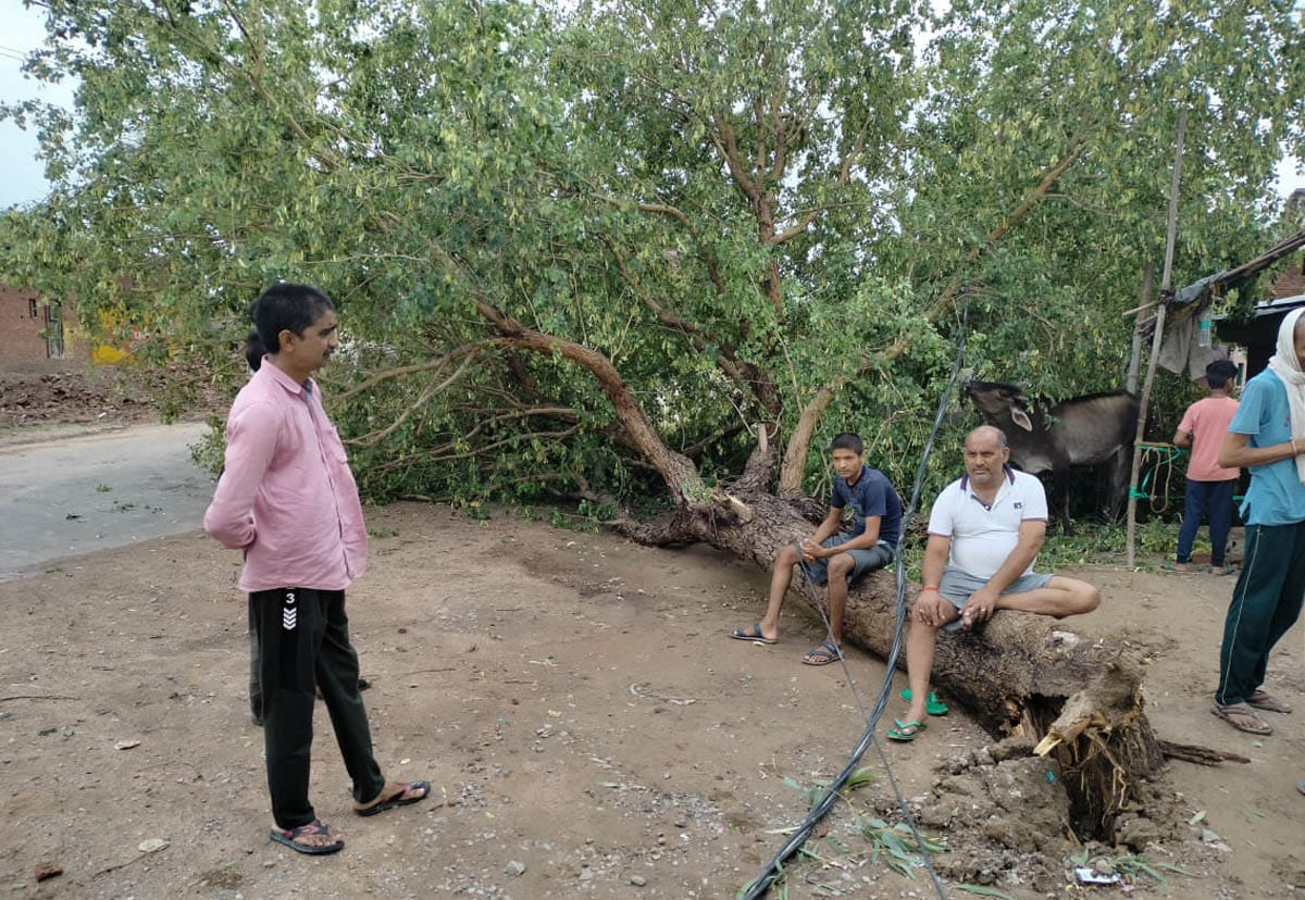 Heavy trees and electric poles broken due to strong storm
