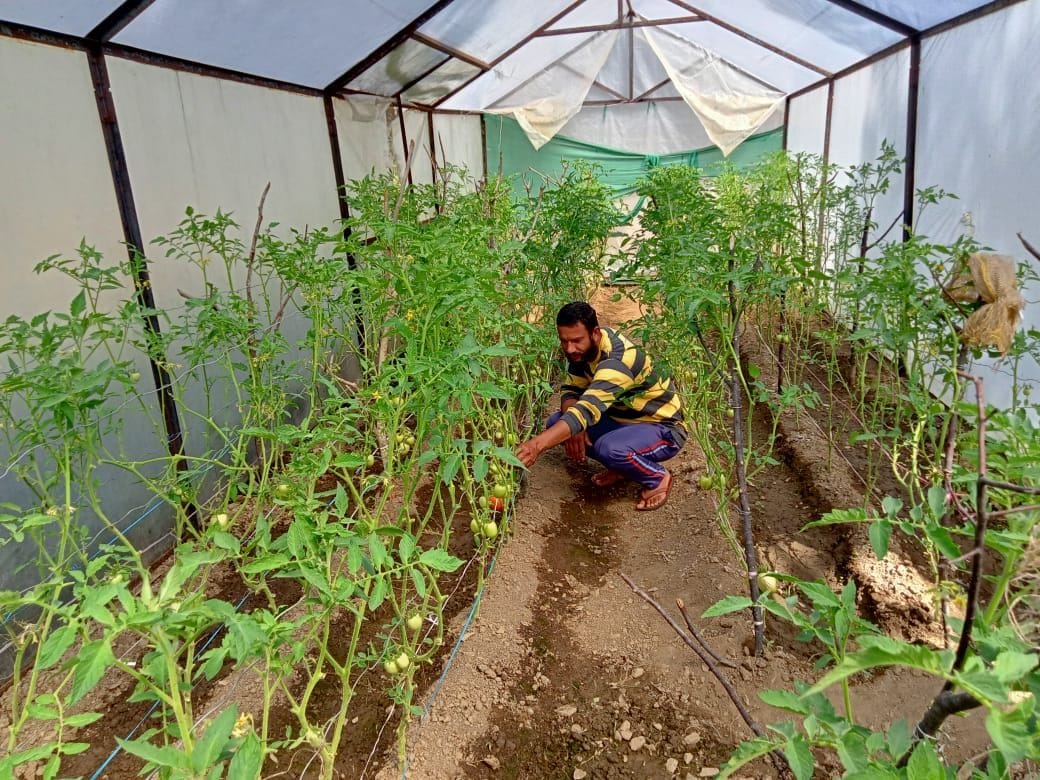 The path of employment found from agriculture