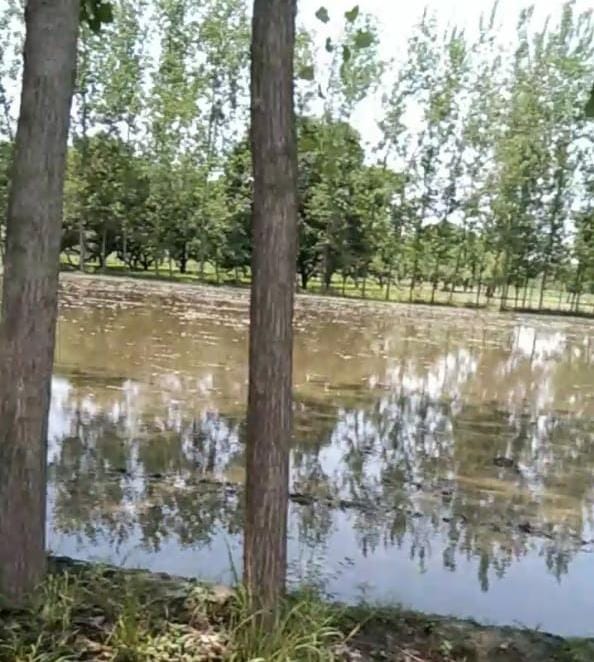 Hundreds of bighas of crops destroyed due to the breakdown of the track