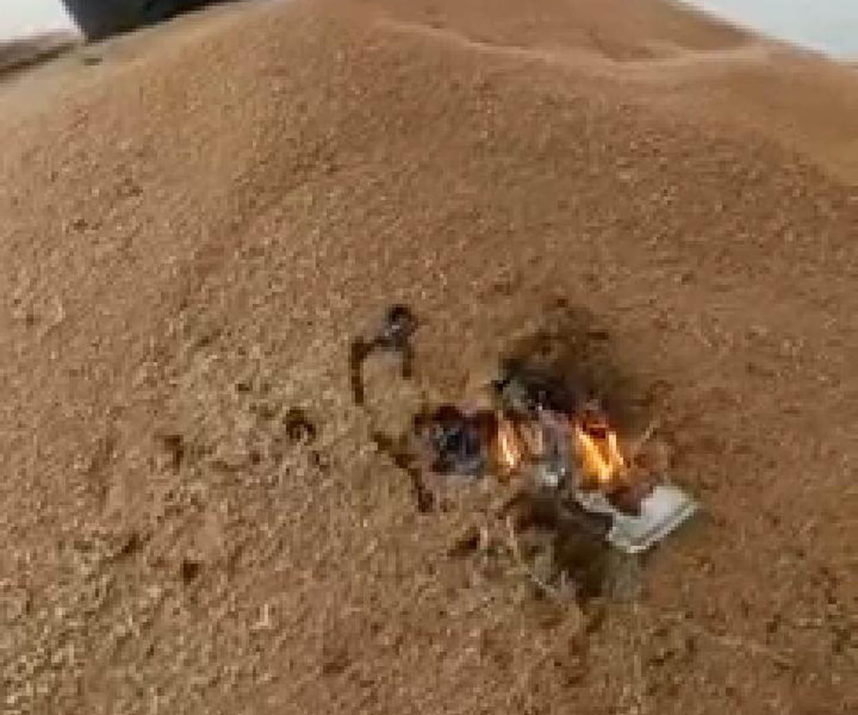 Farmer burnt grain due to non-procurement