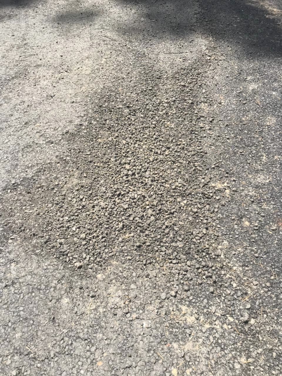 Coal tar cracked in a week