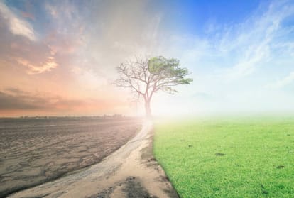 World Environment Day 2022 Only One Earth Pollution Cause harm To climate and human