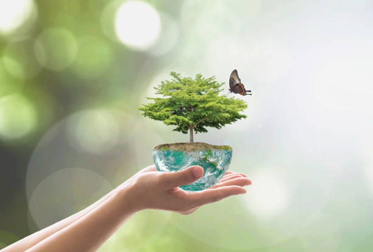 we need to change to keep our environment clean, article on world environment day 2023