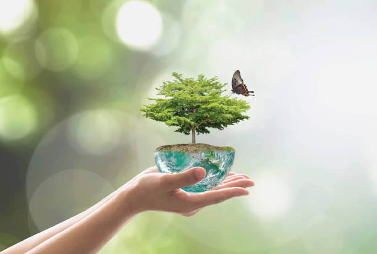 World Environment Day 2023 Date History Theme and Significance in Hindi
