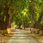 प्रकृति की खूबसूरती।