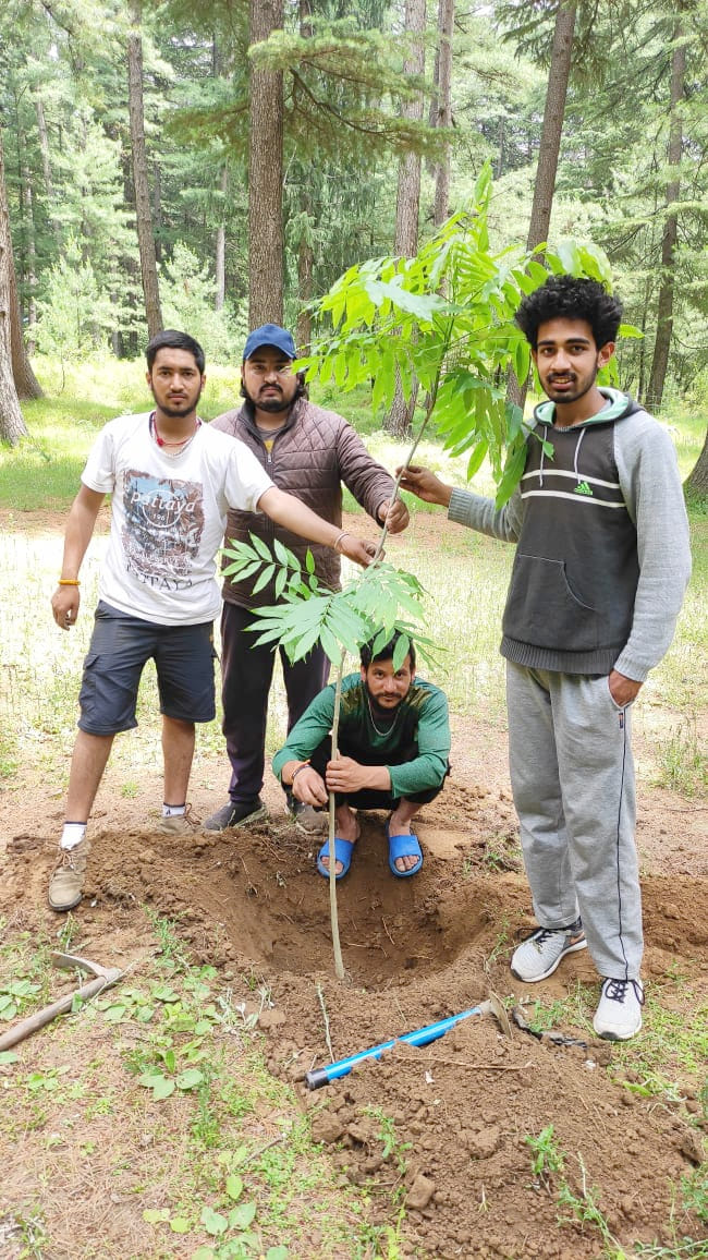 Plants planted on environment day in the district