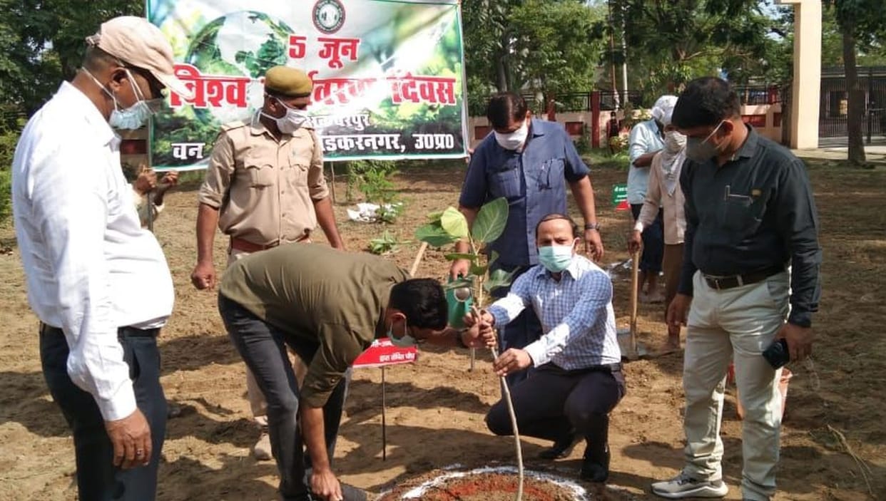 Plant more trees, save the environment