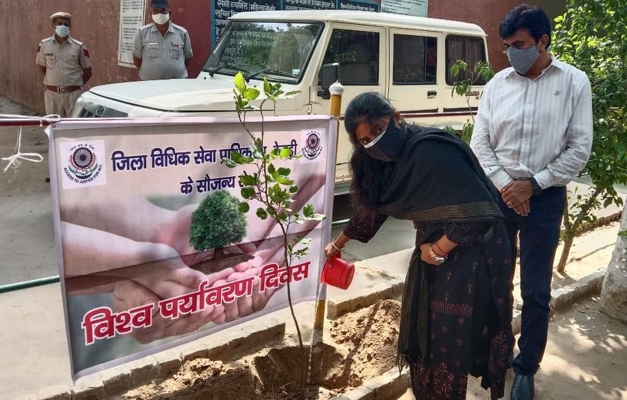 CJM planted saplings in district jail on Environment Day