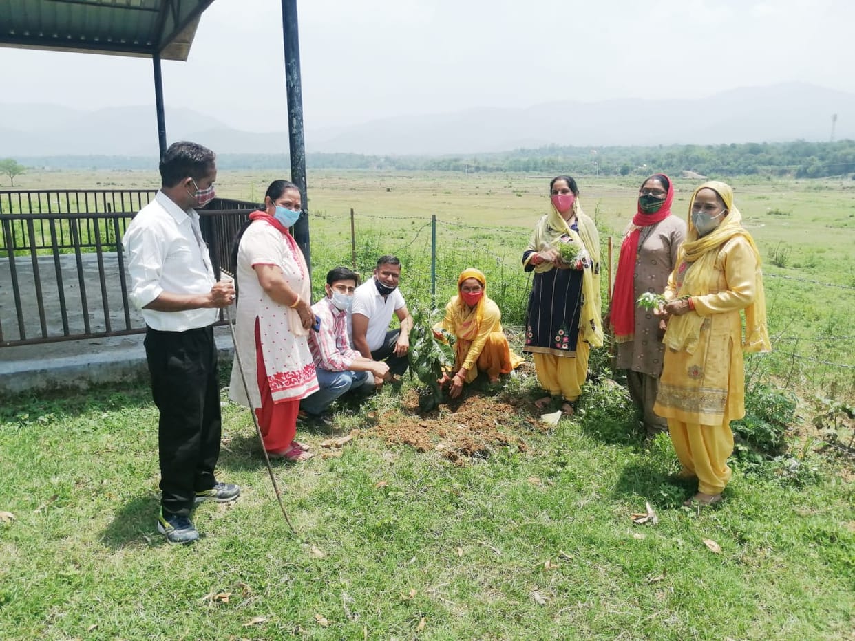Breathing is getting less, let's make the environment pure by planting trees