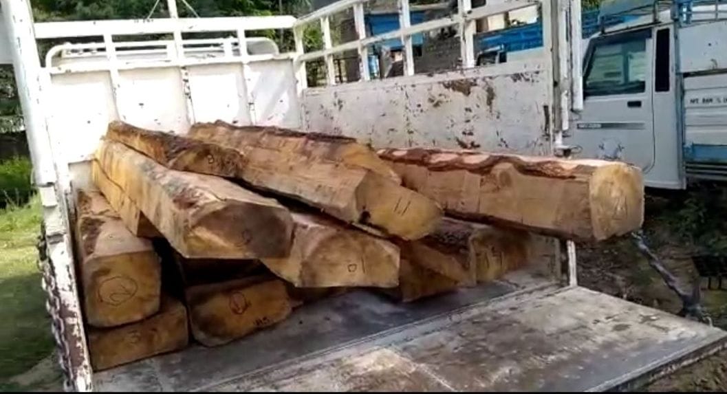 wood caught in Sanarli-Khanukhali forest beat karsog