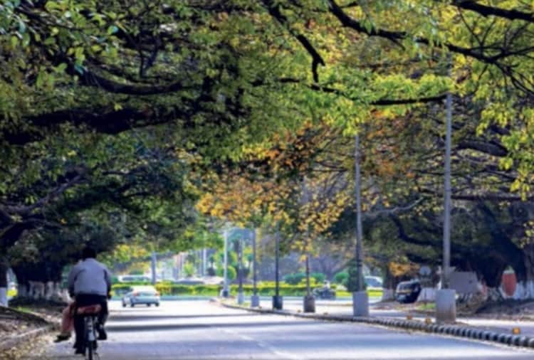 world environment day 2021: Green area is continuously increasing with population in Chandigarh
