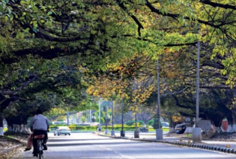 world environment day 2021: Green area is continuously increasing with population in Chandigarh