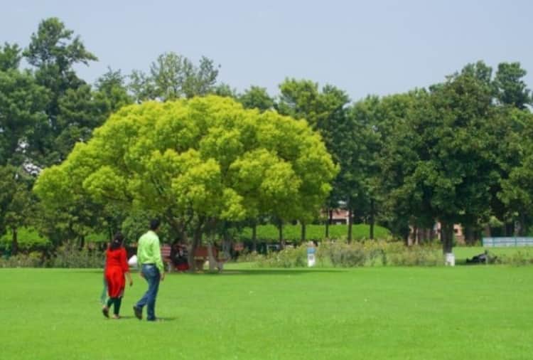 world environment day 2021: Green area is continuously increasing with population in Chandigarh