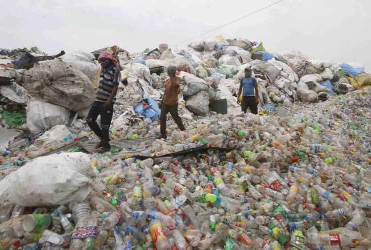 world environment day 2021: Green area is continuously increasing with population in Chandigarh