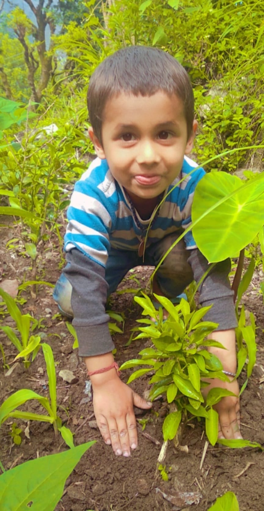 world environment day 2021 : campaign of small environmental worrier grabbing everyone attention