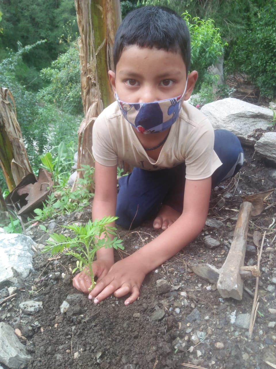 world environment day 2021 : campaign of small environmental worrier grabbing everyone attention