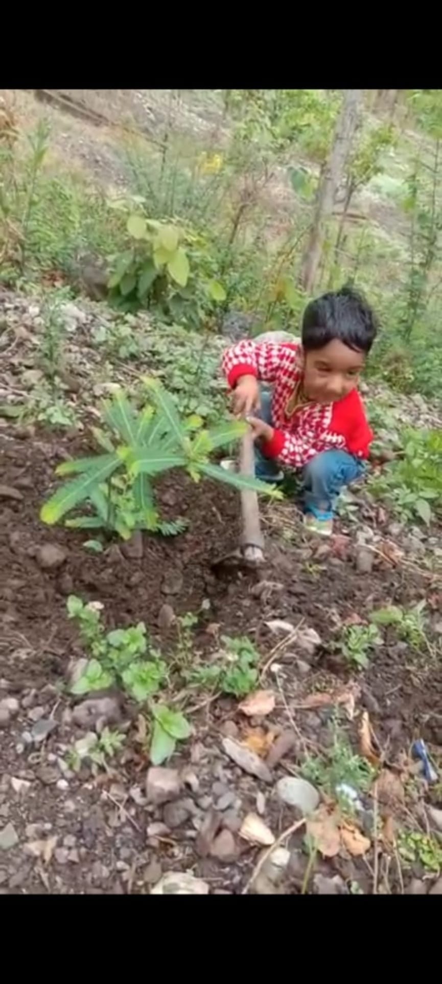 world environment day 2021 : campaign of small environmental worrier grabbing everyone attention