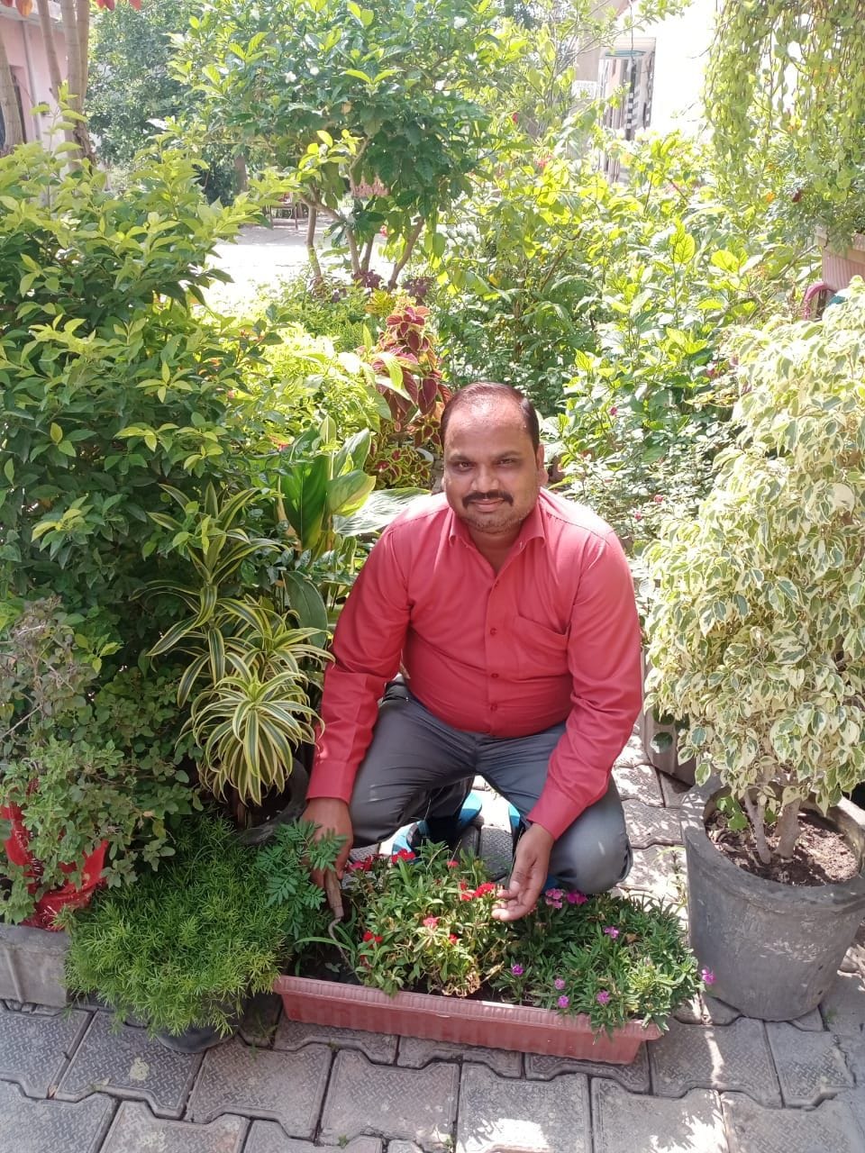 world environment day muzaffarnagar