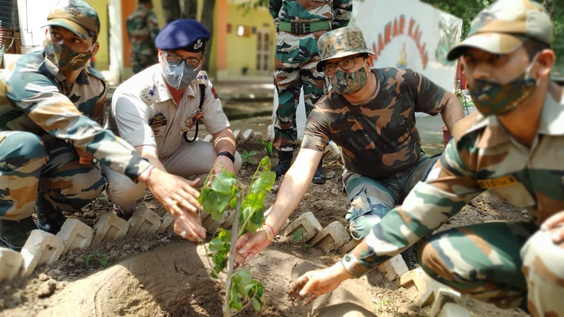 World environment day