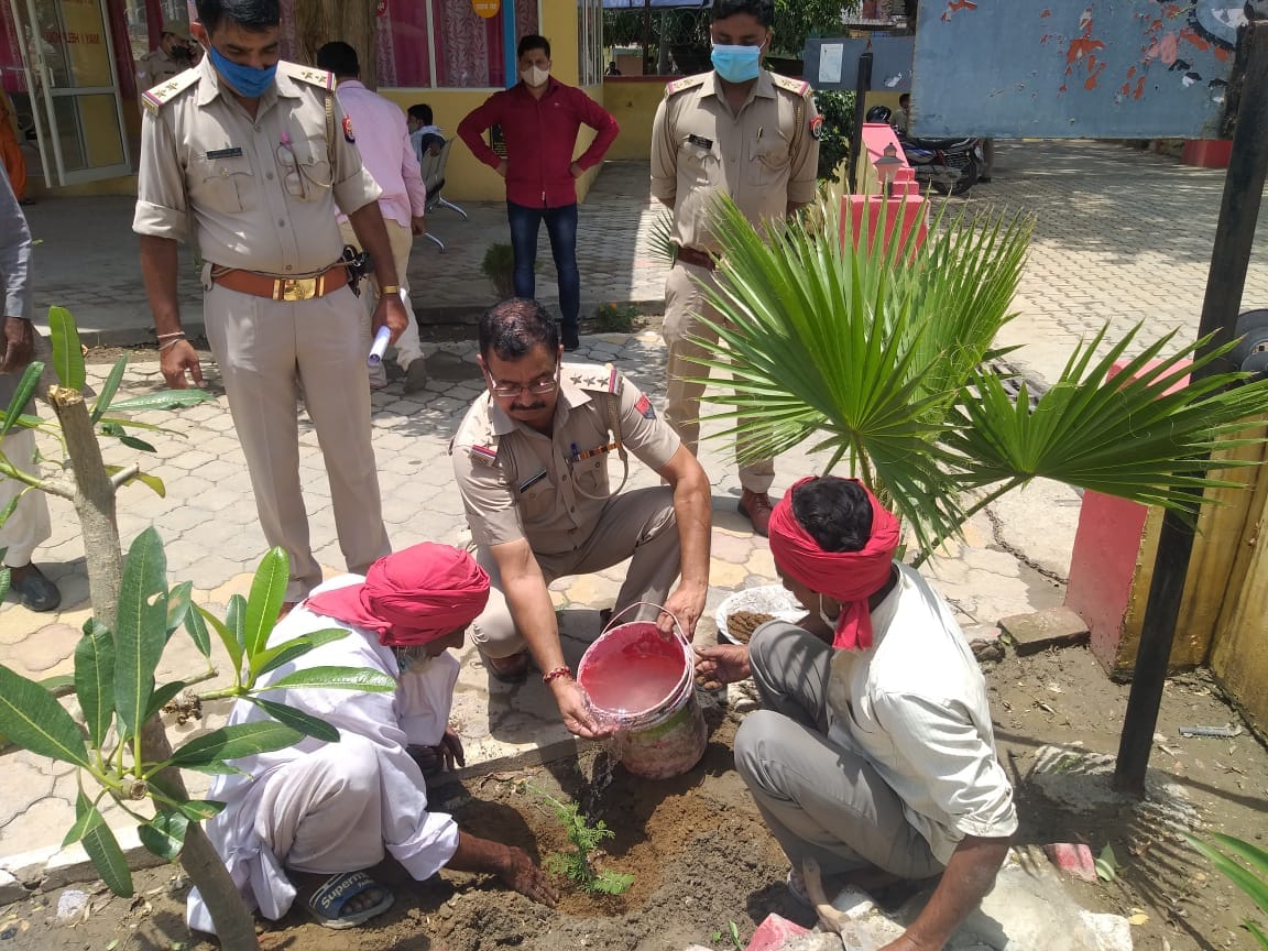 save the evvironment, plant more and more trees