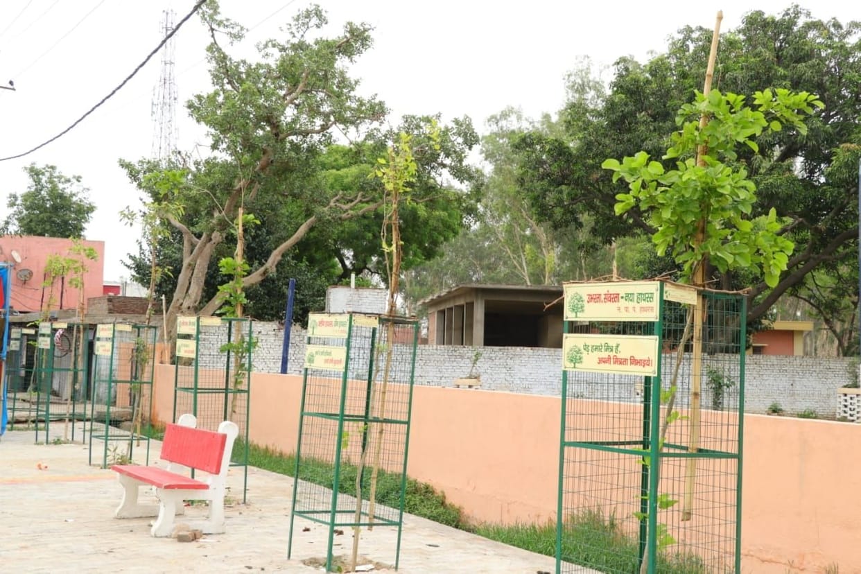 Hathras: Municipality will plant one thousand saplings on sewage form