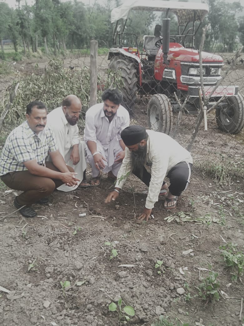 World environment day