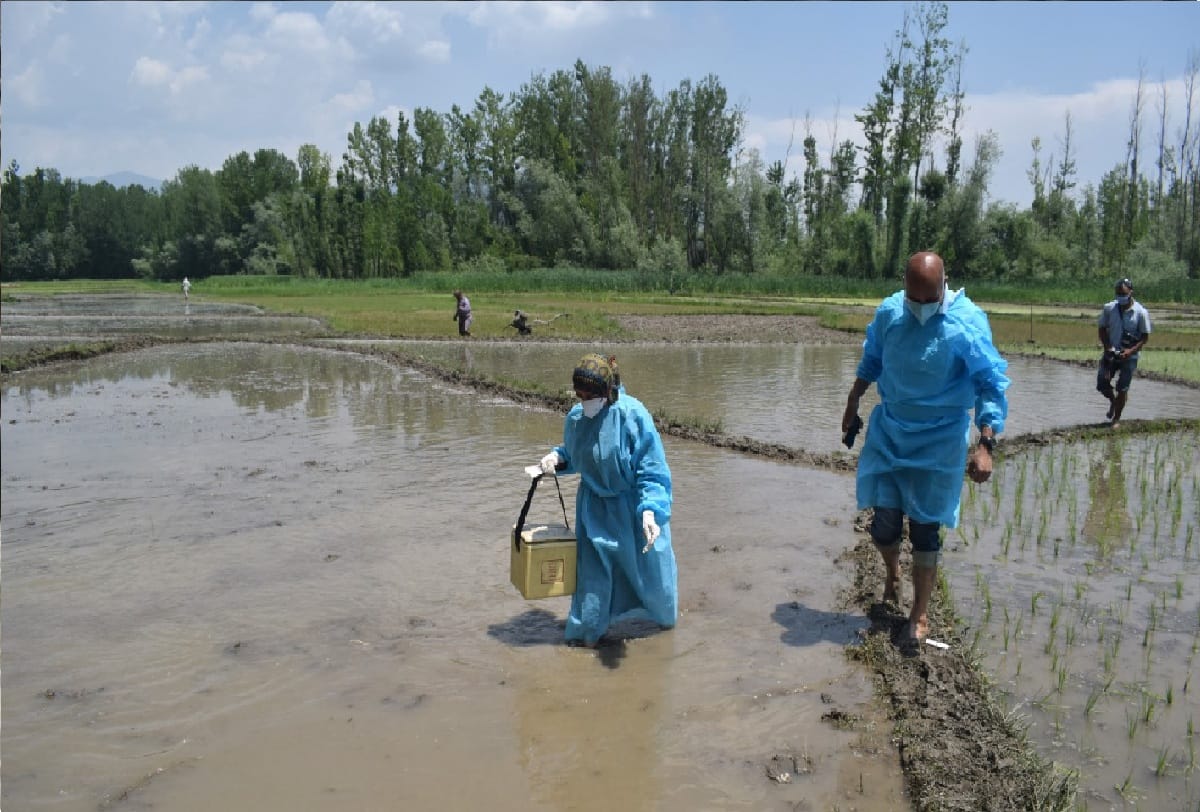 coronavirus and vaccination in jammu kashmir, vaccination in field and forest areas