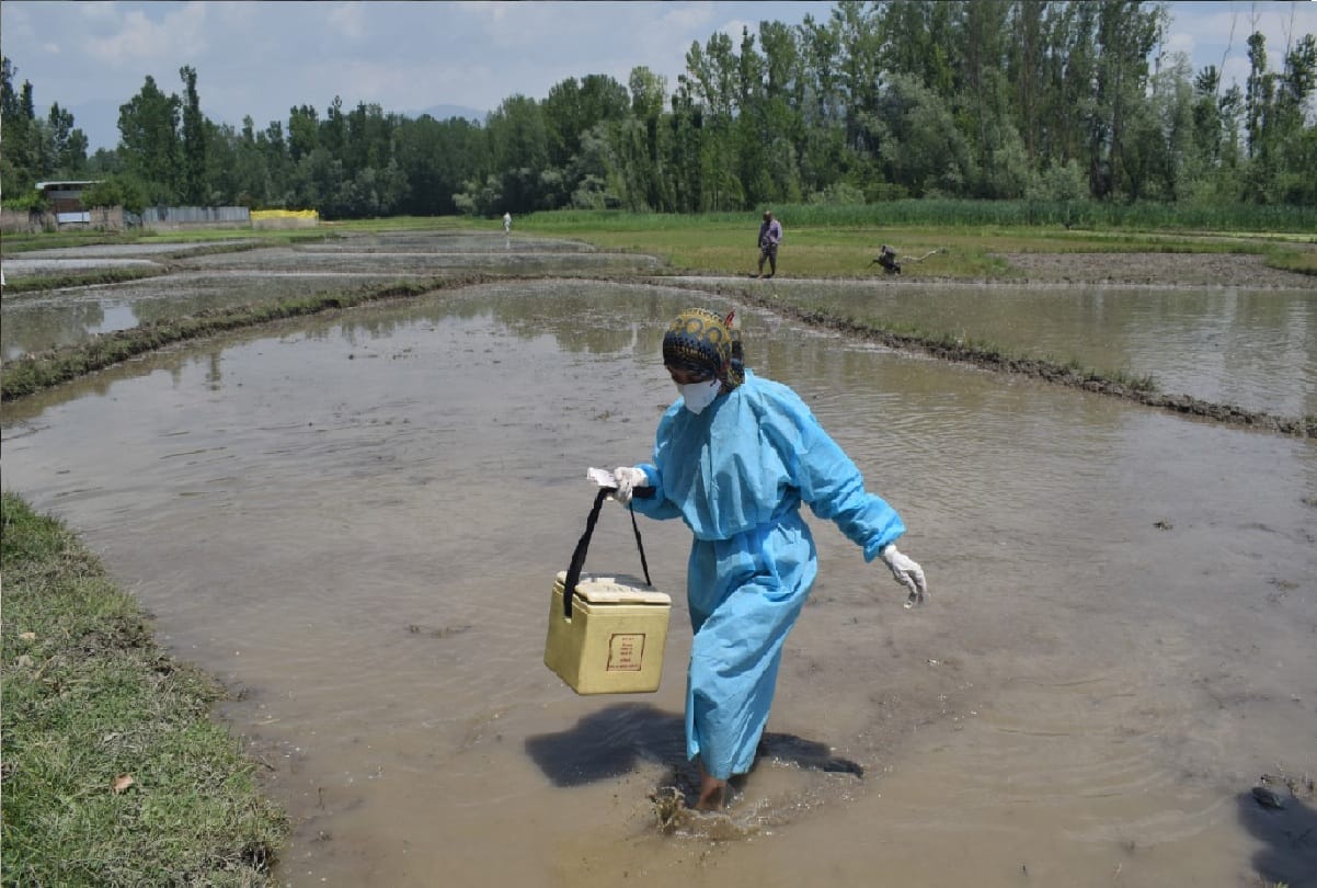 coronavirus and vaccination in jammu kashmir, vaccination in field and forest areas