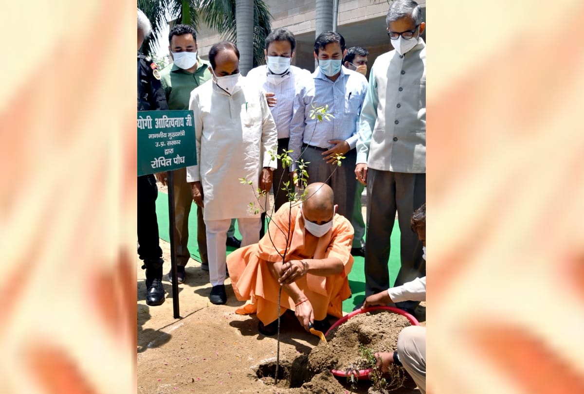 CM Yogi Adityanath plants a tree in his house in Lucknow.