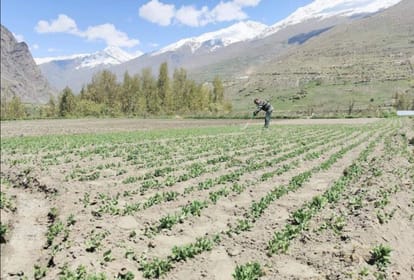 87,000 farmers doing natural farming will be certified in Himachal, Agriculture Secretary gave instructions to