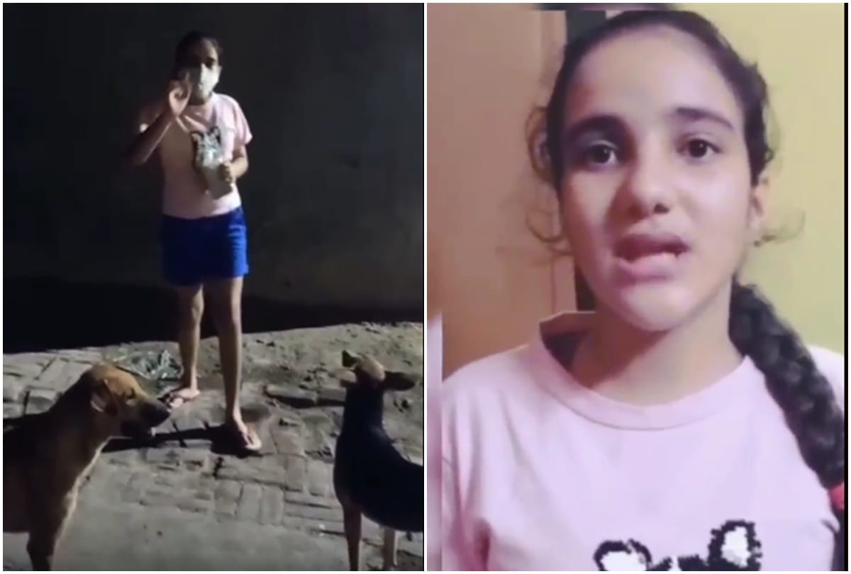 an instagram user Mishika Pandey is feeding stray dogs and cows and said do not hit them they have right to live