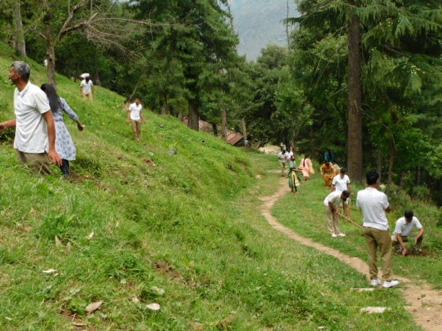 rampur news ssb and forest department plantation drive in shalabag jeury