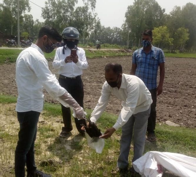 crow death case