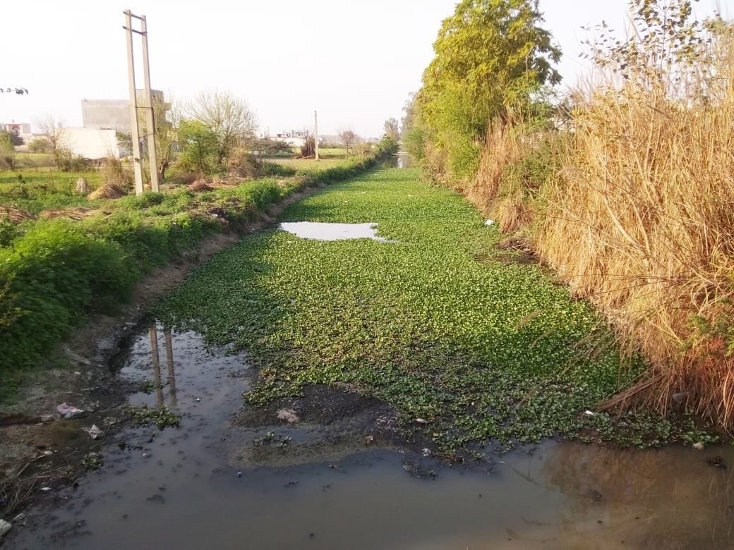 The cleaning of drains and drains was not completed on the monsoon head