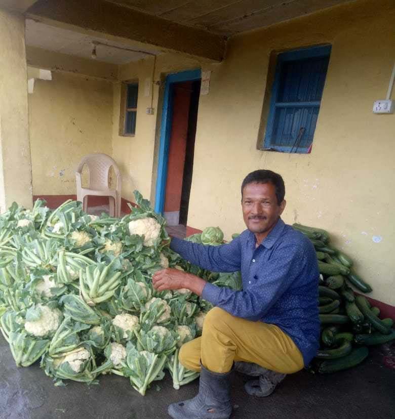 When the steering stopped, the vegetable was grown in the farm