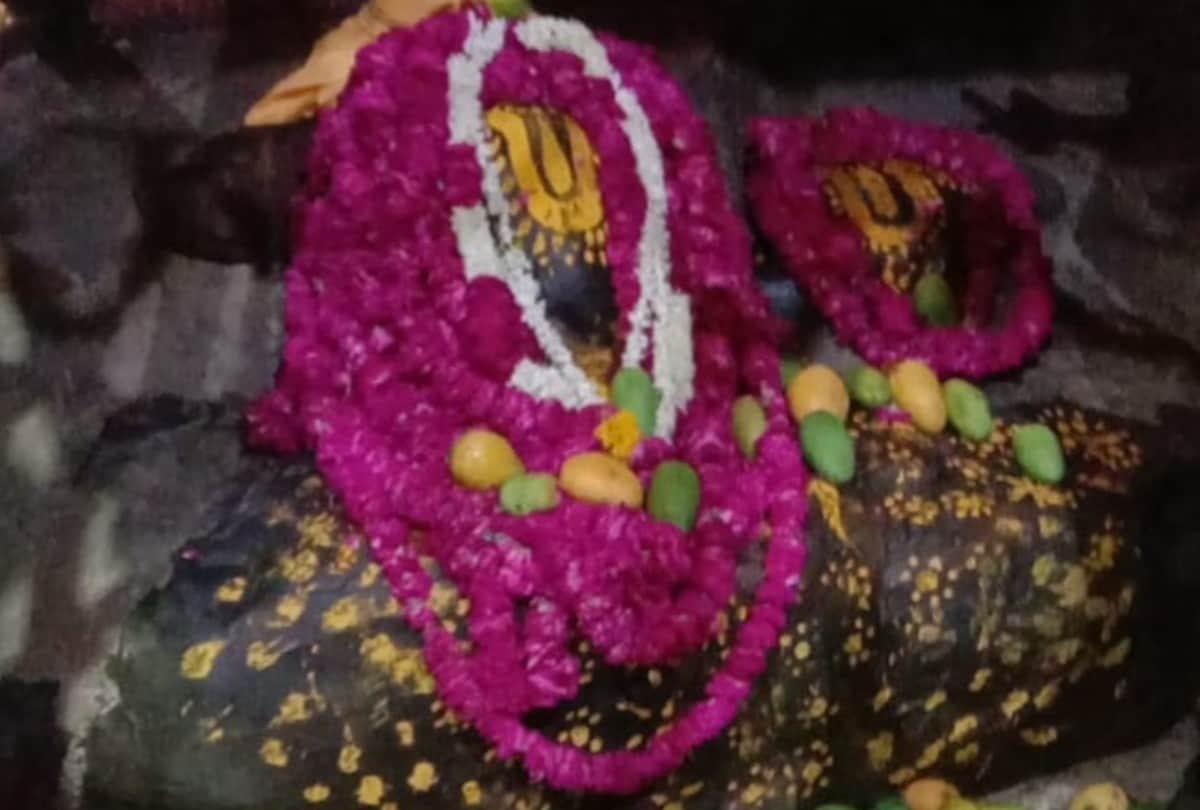 Devotees Offered One Lakh twenty Five Thousand Mangoes To Giriraj Ji In Mathura