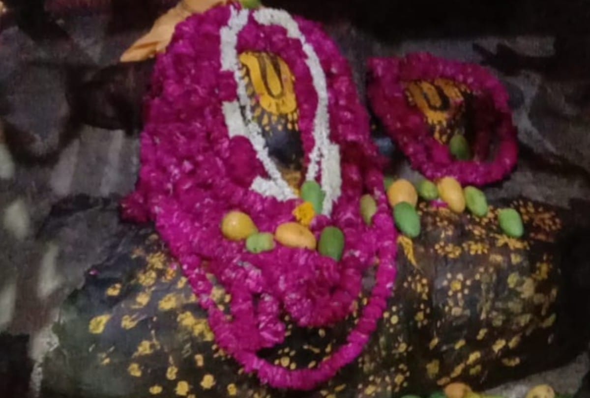 Devotees Offered One Lakh twenty Five Thousand Mangoes To Giriraj Ji In Mathura