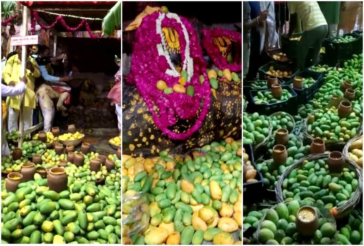 Devotees Offered One Lakh twenty Five Thousand Mangoes To Giriraj Ji In Mathura