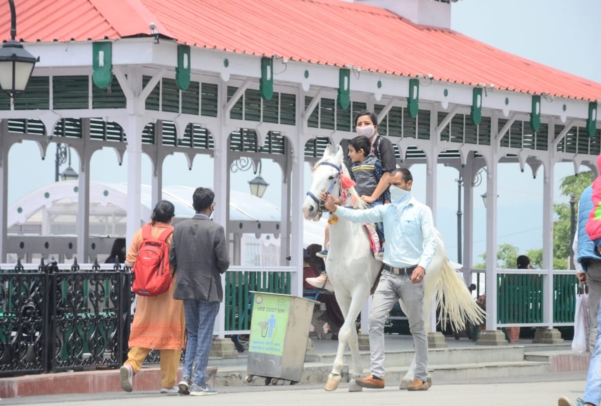 After two months tourists started reaching Hills Queen Shimla himachal