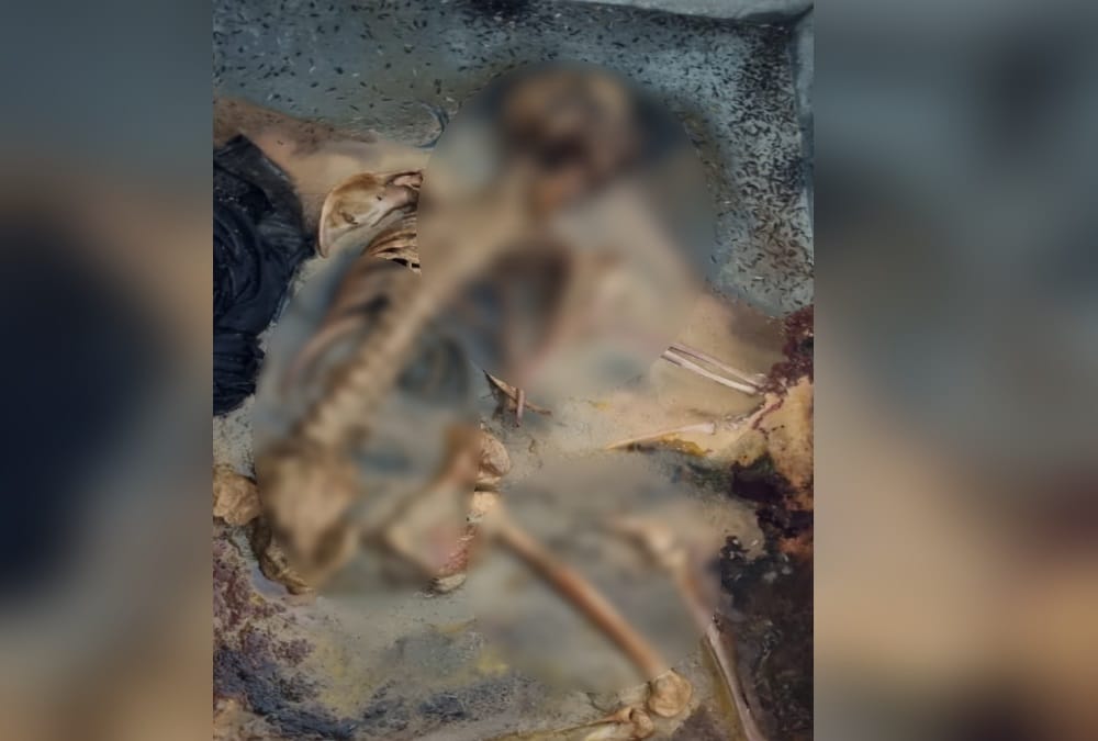 Rishikesh News: Human Skeleton found in tiles traders Ancestral house