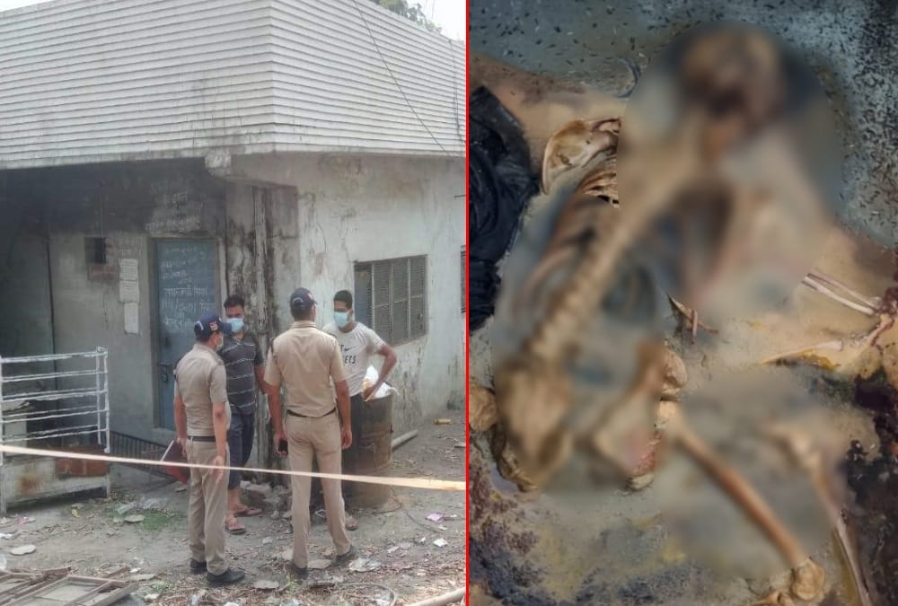 Uttarakhand News: Human Skeleton found in Builders Old house in Rishikesh Photos