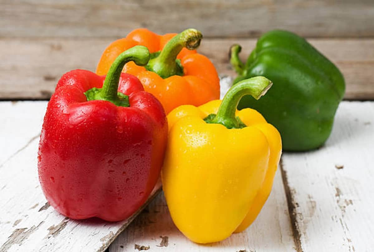 Health tips summer vegetables diet benefits in hindi